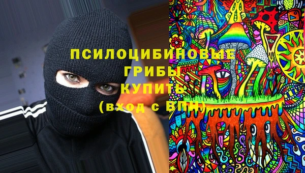 PSILOCYBIN Арсеньев