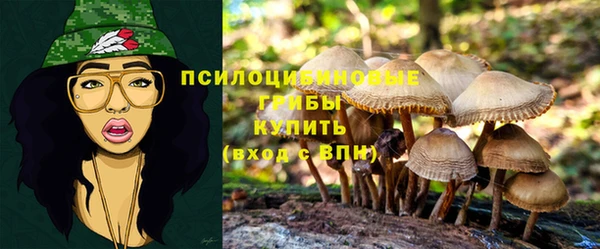 PSILOCYBIN Арсеньев